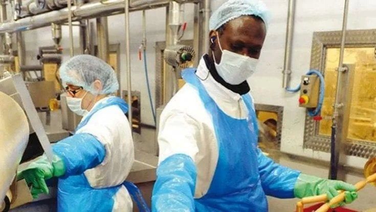 Fisco, nell'anno del Covid 4 miliardi versati dai lavoratori stranieri