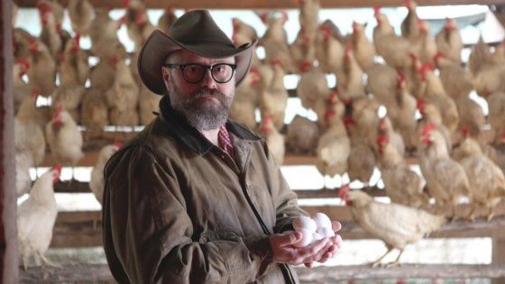 E dopo le uova, la carne: Paolo Parisi e il folle progetto della "Vacca vecchia"