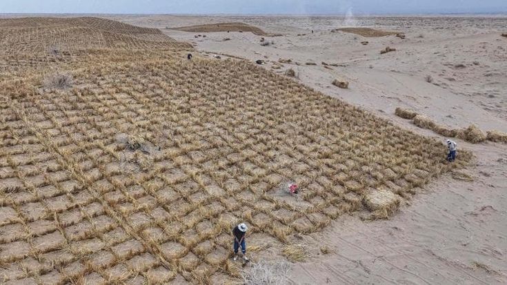 Desertificazione