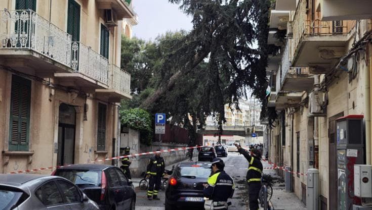 Il vento blocca Bari: alberi caduti, treni bloccati. Paura al Policlinico e al Campus UniBa