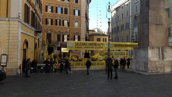 Latte, la protesta dei pastori sardi arriva a Montecitorio. Salvini: "Incontro giovedì"