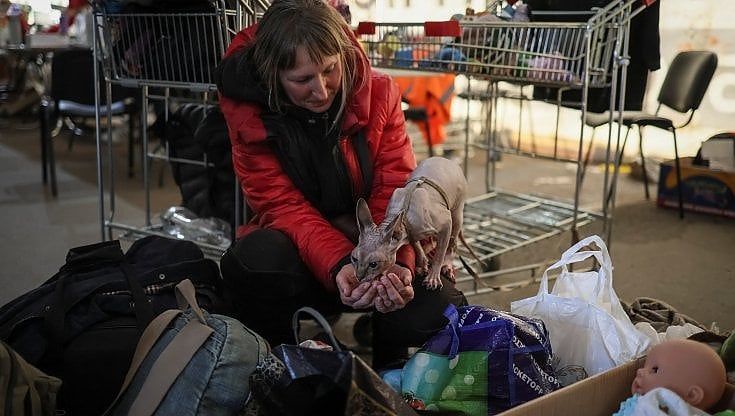 Ucraina, con la guerra quasi 3 milioni di rifugiati in cerca di lavoro. L'Oil: "Forte pressione sui Paesi che li accolgono"