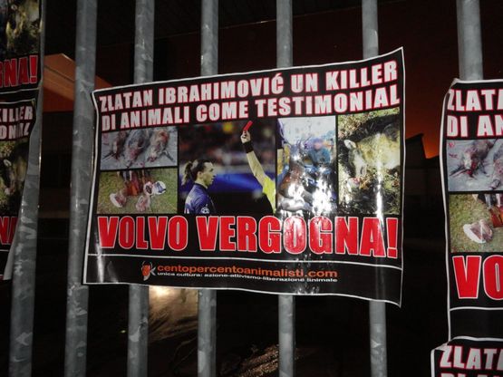 Ibrahimovic cacciatore nello spot,<br />blitz degli animalisti contro la Volvo