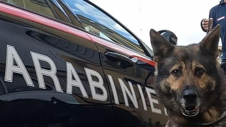 Operazione alto impatto tra Aversa e Marcianise: cinque arresti