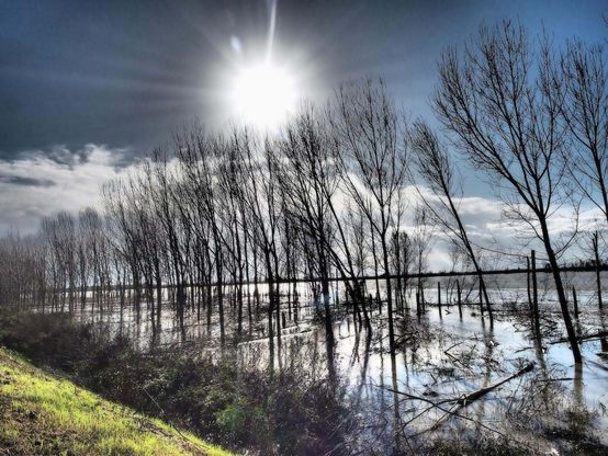 La piena a Pontelagoscuro<br />&nbsp;