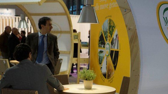 Il 42% delle imprese è green e vince la gara dell'export