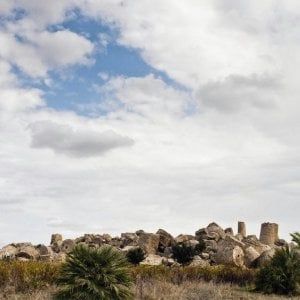 Sicilia, torna Google Camp: ecco le prime indiscrezioni