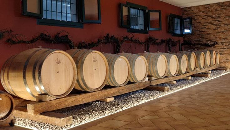 La giovane cantina veneta che spazia dallo spumante zero alcol alla Ribolla gialla
