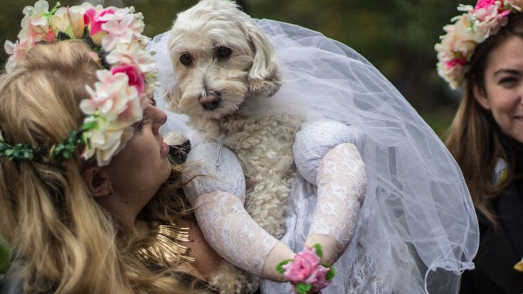 Halloween a New York, la notte delle streghe diventa esorcismo collettivo