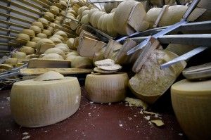 "Quattro aziende su cinque distrutte<br />e 300mila forme di Parmigiano perdute"