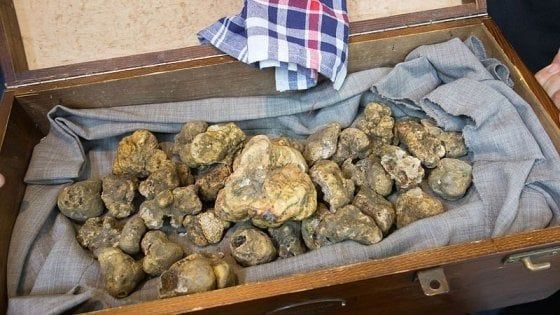 "Prima, la materia": RFood esplora il punto d’incontro tra natura e cucina 