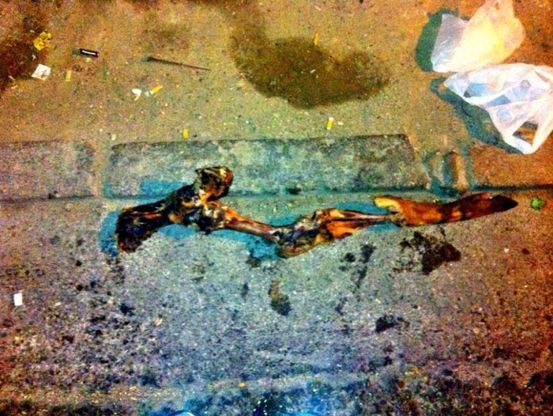 Madrid, sciopero degli spazzini: il reporter insegue l'osso di prosciutto