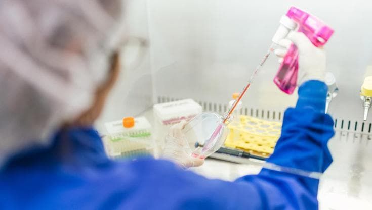 Dopo l’infarto alcune cellule muscolari si rigenerano e il cuore rinasce