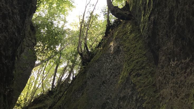 Nel cuore della Terra, tra le vie cave di Sovana 