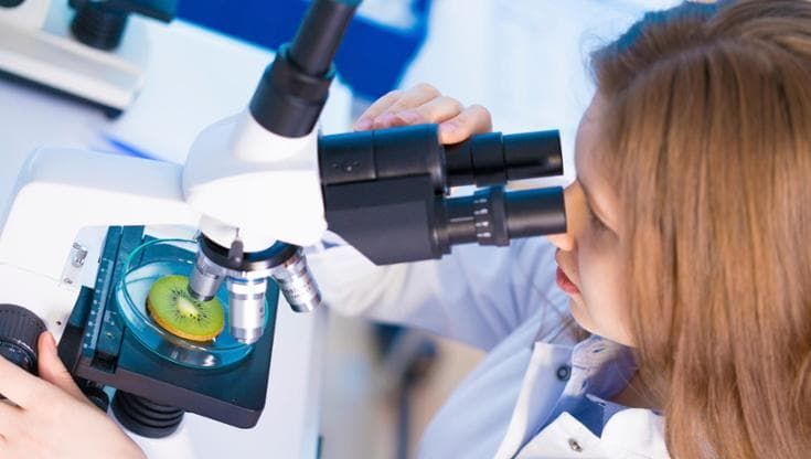 Al Focuss Lab dell'Università Mediterranea di Reggio Calabria “Mantra” dà voce al cibo