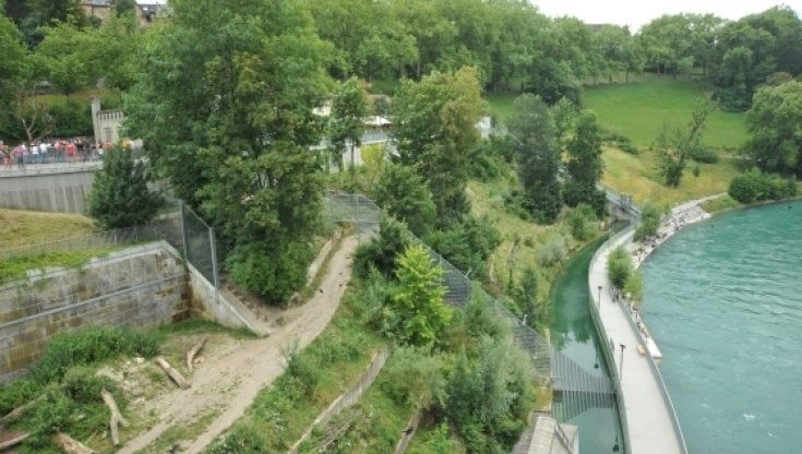 Lo zoo di Berna inaugura "il percorso del bracconiere": fucili finti ai bambini per sparare agli stambecchi