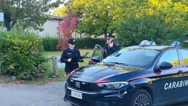 Rubano la cassaforte ma è piena di fucili: i ladri ci ripensano e li abbandonano in un campo