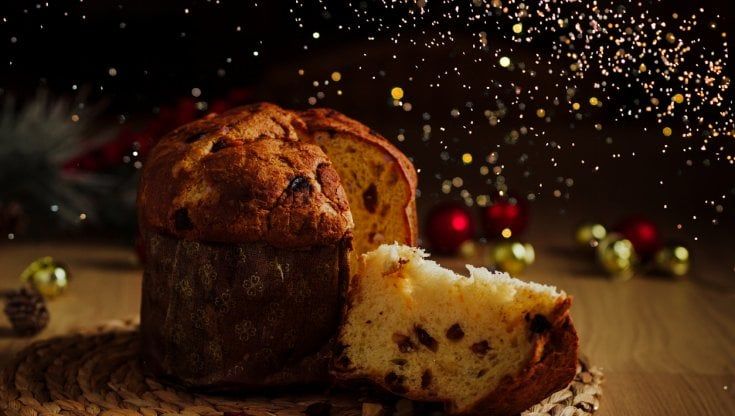 Milano, lo studio della Statale: niente abusi a tavola per le feste, troppa pancia fa male agli anticorpi