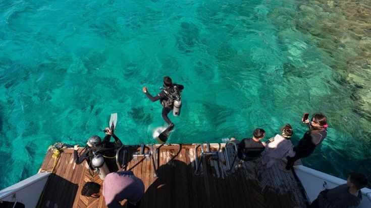 Il paradiso del diving, sogno dei turisti tra squali e coralli