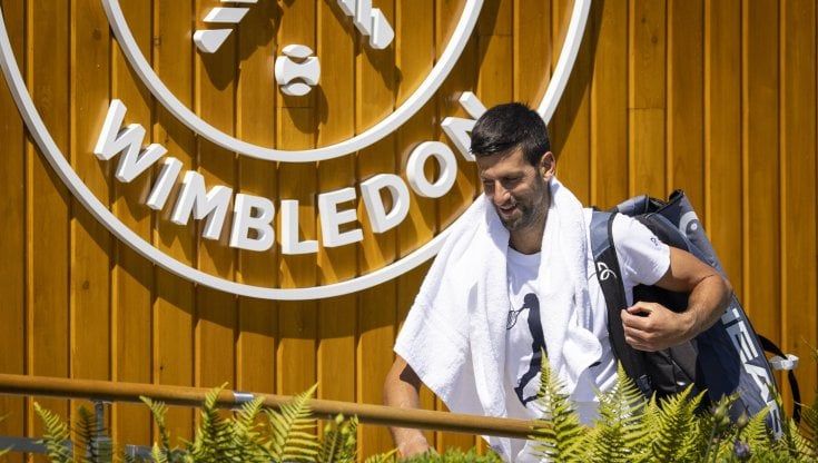 Wimbledon, i tabelloni: Djokovic-Berrettini solo in finale. E torna Serena Williams