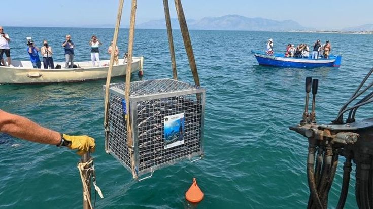 Castel dell’Ovo, 450 bottiglie di limoncello calate in mare