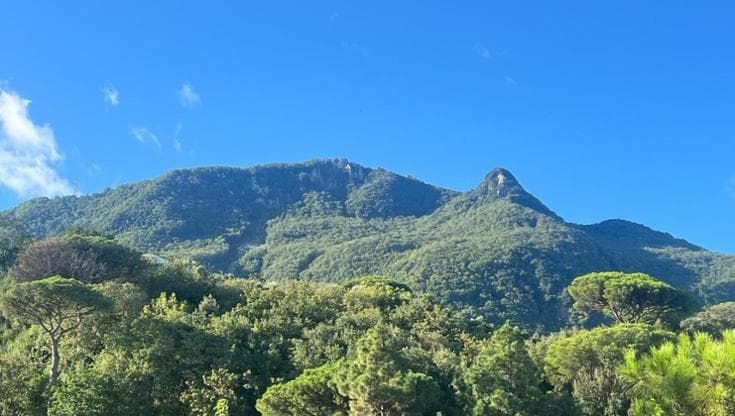 Rischio frane, Ischia riparte dagli alberi: dieci milioni per i boschi dell’Epomeo