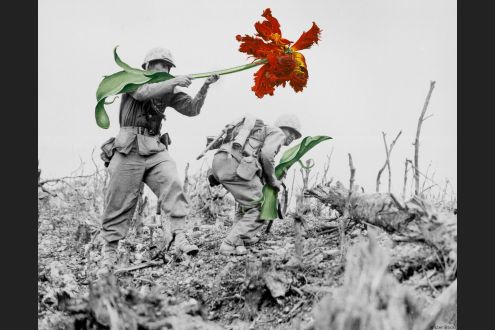 Mettete Dei Fiori Nei Vostri Cannoni Il Fotoprogetto Pacifista