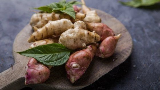 Carciofo, rapa o tubero? Il topinambur è salutare e versatile