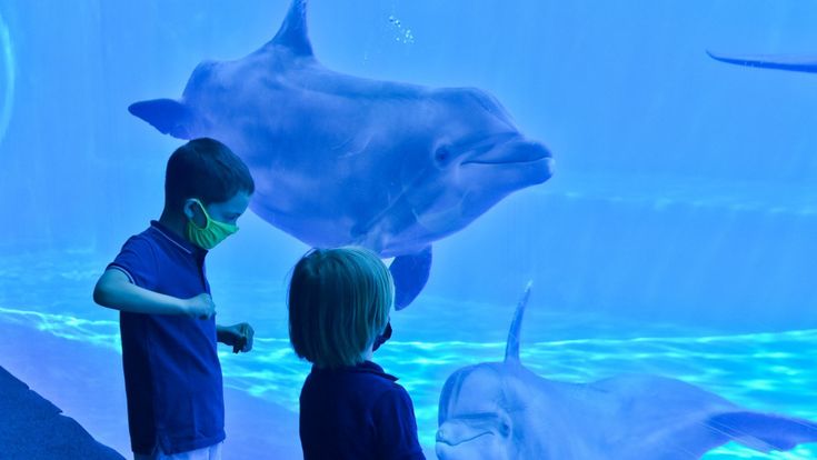 Bambini, che estate sarà?