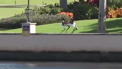 Florida, schieramento di forze militari intorno alla residenza di Trump: in azione anche il cane-robot armato