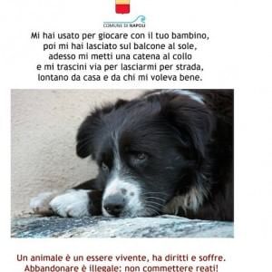 Abbandoni record di animali a Napoli e provincia: la campagna del Comune