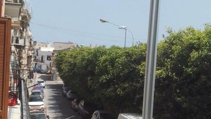 Insetti dai ficus "abusivi" in via dell'Arenella: fra gli abitanti allergie e punture di pappataci