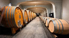 Dalla fabbrica di acciaio alla vigna sotto le Alpi, la doppia vita di Piero Gori