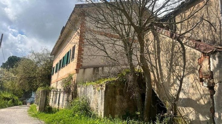 La mamma di Palermo, dagli studi all’estero all’incontro con il guru