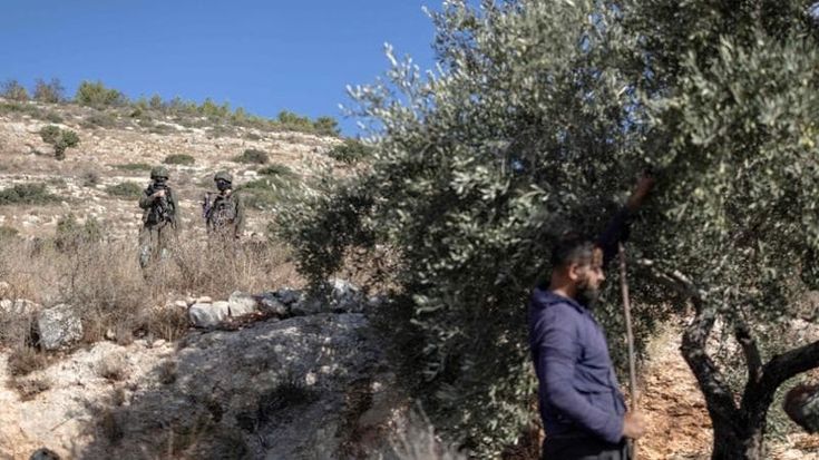 War in Iran: news. Italian Foreign Ministry: “Italian activists detained in the West Bank; clarification sought”