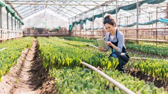 Donne e ortofrutta, solo il 12% ha un posto di potere