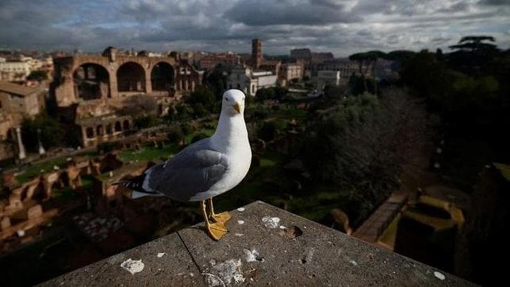 Vedo le mura e gli archi