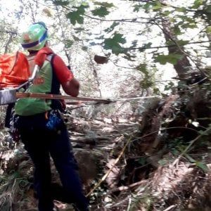 Ritrovato anziano cercatore di funghi pugliese disperso in Calabria: sta bene