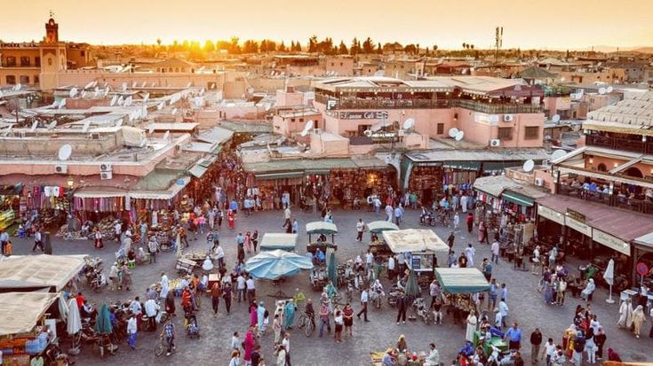 Marrakech, i suoi parchi e i suoi giardini. I segreti in verde della Città Rossa