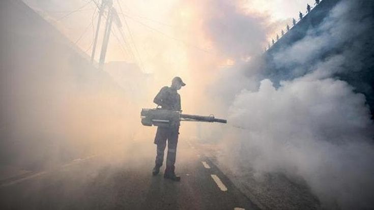 Un caso di Dengue a Firenze, effettuata la disinfestazione