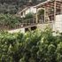 Dalle Alpi alla Sicilia, Ueli ed Erika cambiano vita nel segno del vino (e dell’amore)