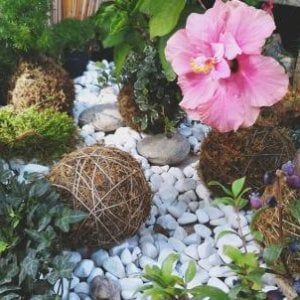 I Millennials comprano i fiori, ma per sé. Il fioraio resiste al web