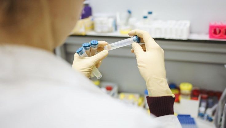 In Piemonte arriva la variante sudafricana, gli esperti: "Nessuna paura, i vaccini funzionano"