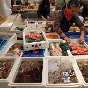 Commercio in recupero con l'inflazione: vendite in crescita dell'1,4%