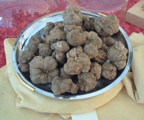 Non solo caviale: i cibi più costosi del mondo