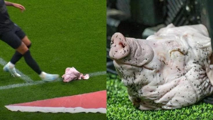 I tifosi lanciano una testa di maiale in campo nel derby brasiliano