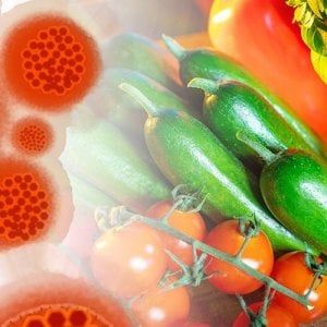 Coronavirus e alimentazione: come ‘allenare’ il sistema immunitario per la fase 2