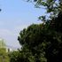 Il Central Park di Beirut chiuso da quasi 25 anni