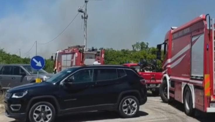 In Salento è già emergenza incendi, a Punta Prosciutto in fumo ettari di macchia. Canadair al lavoro