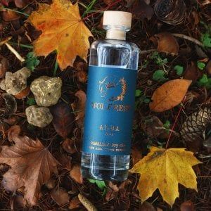 Dalle Langhe arriva il gin al tartufo bianco di Alba